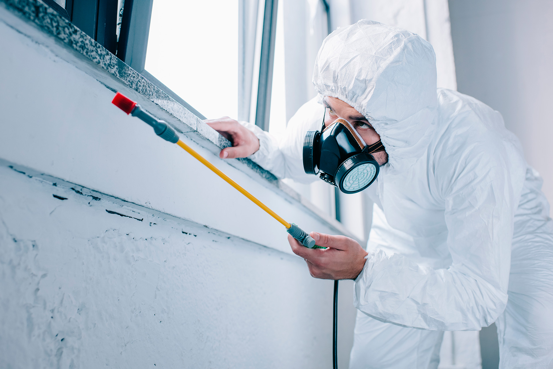 Control de plagas y desinfecciones JPS Salud Ambiental servicios