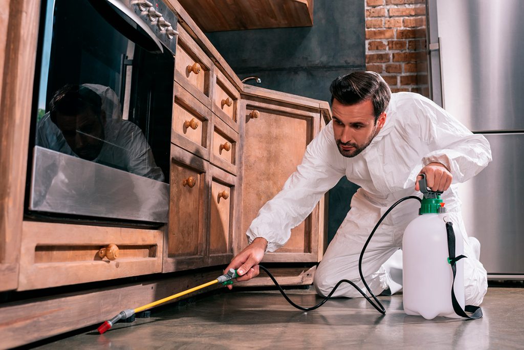 JPS Salud Ambiental ofrece los mejores servicios de control de plagas y desinfecciones en Càlig.