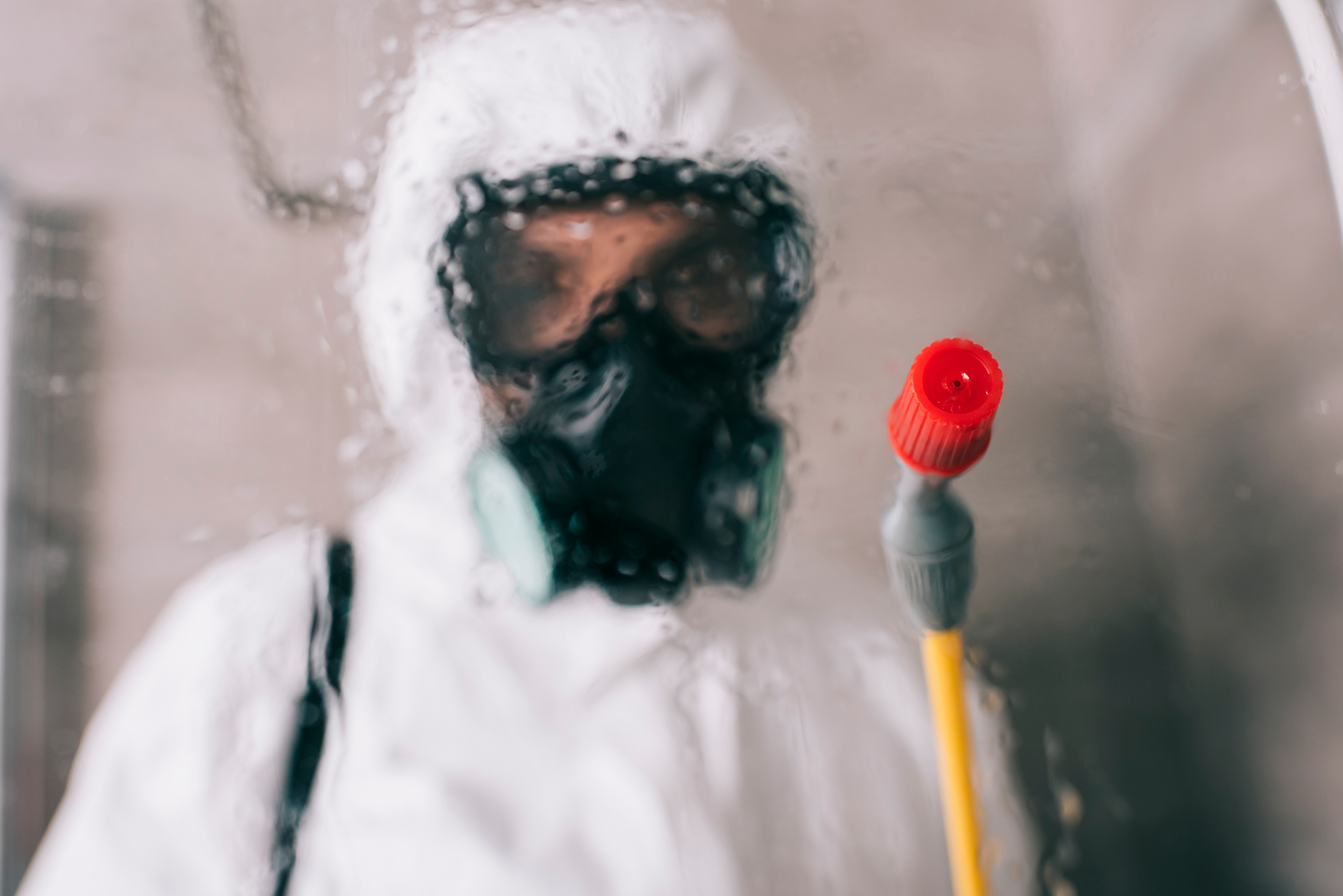 Control de plagas y desinfecciones JPS Salud Ambiental desinfección