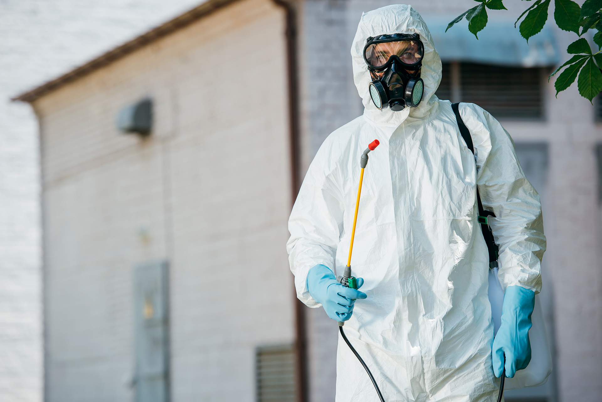 Control de plagas y desinfecciones JPS Salud Ambiental servicios